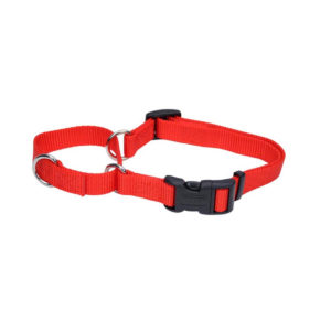 coastal no-slip martingale dog collar