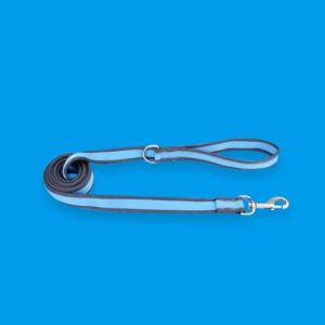 fromm dog food 27 leash