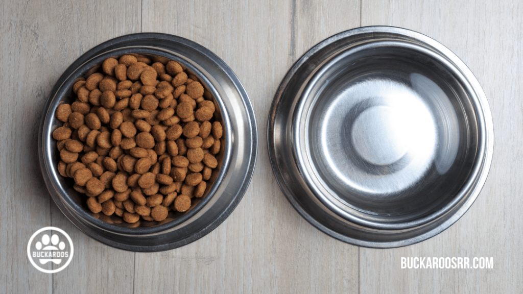 10 PROVEN PUPPY POTTY TRAINING TIPS