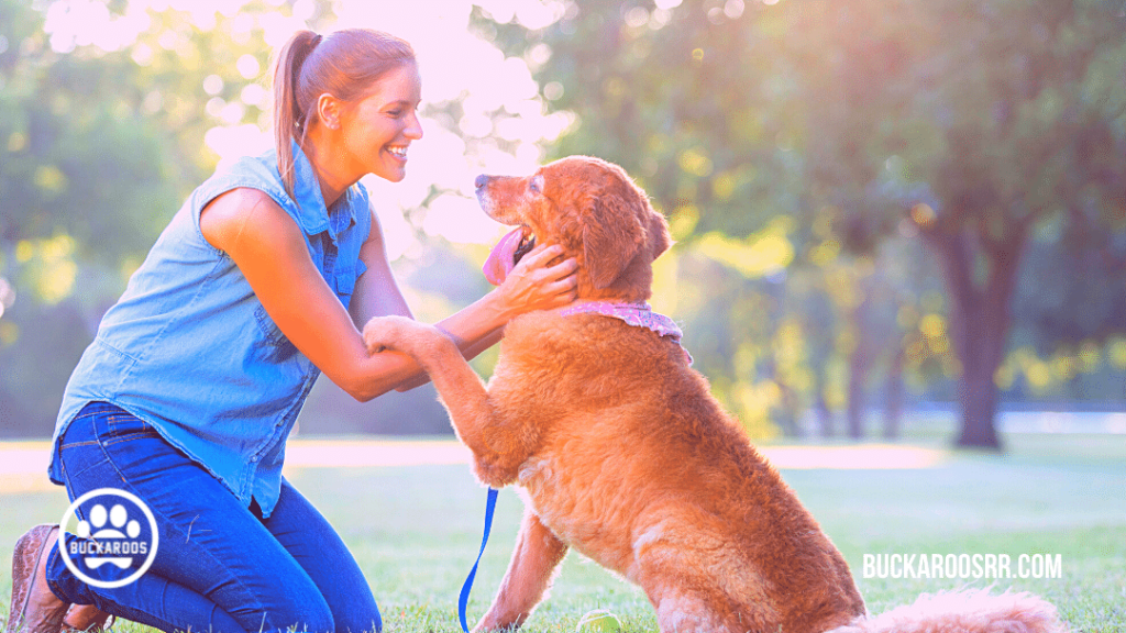 10 PROVEN PUPPY POTTY TRAINING TIPS