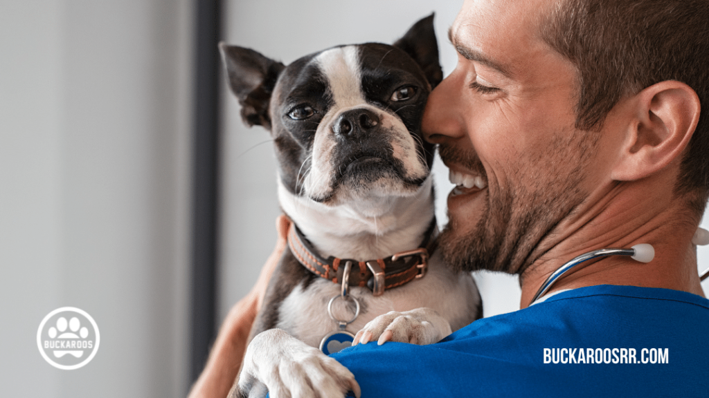 10 PROVEN PUPPY POTTY TRAINING TIPS
