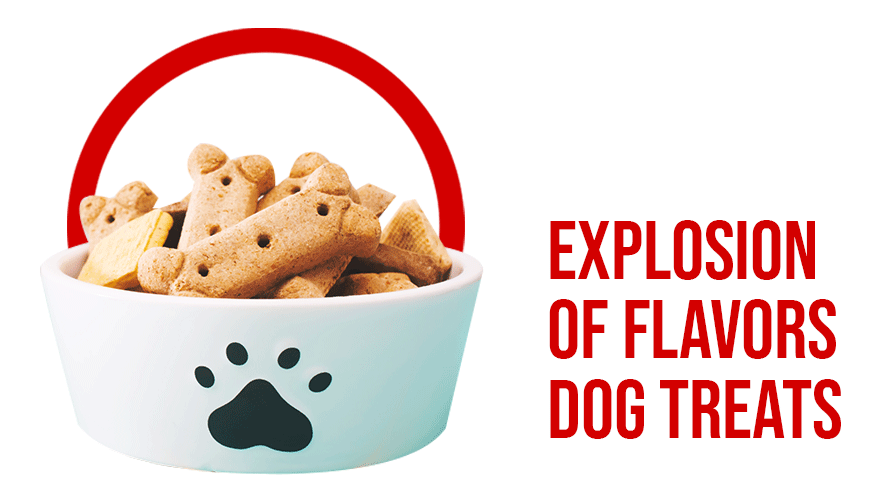 EXPLOSION-OF-FLAVORS-DOG-TREATS