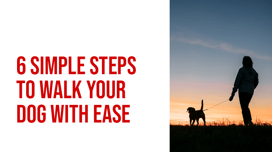 6 SIMPLE STEPS TO WALK YOUR DOG WITH EASE