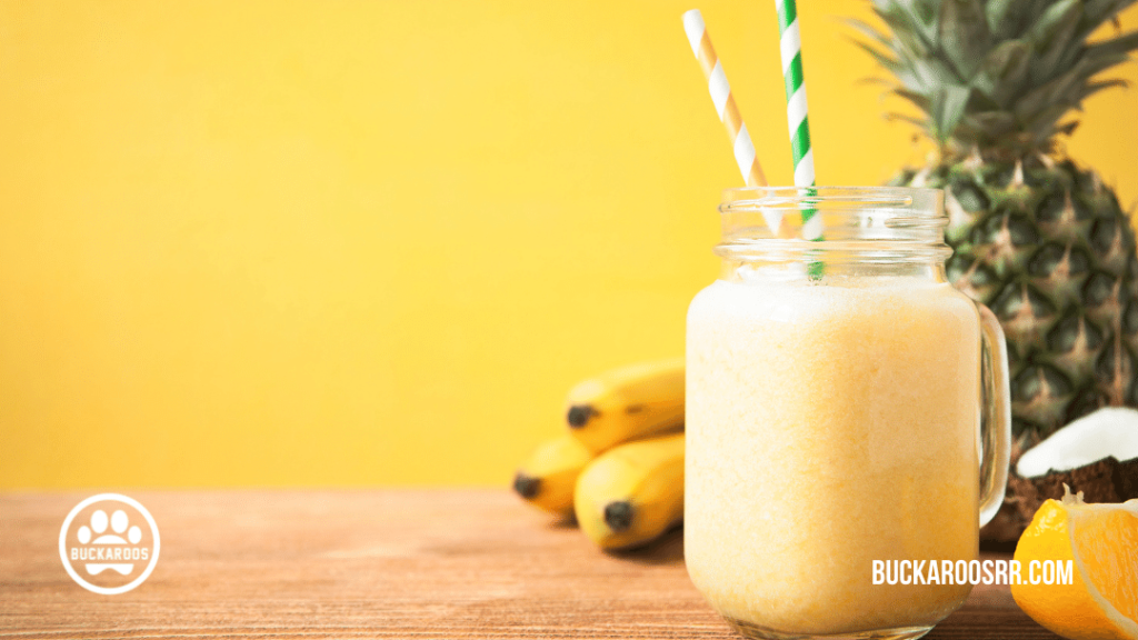 5 Super Cooling Dog Tips: Make A Doggie Smoothie Or Ice Pops