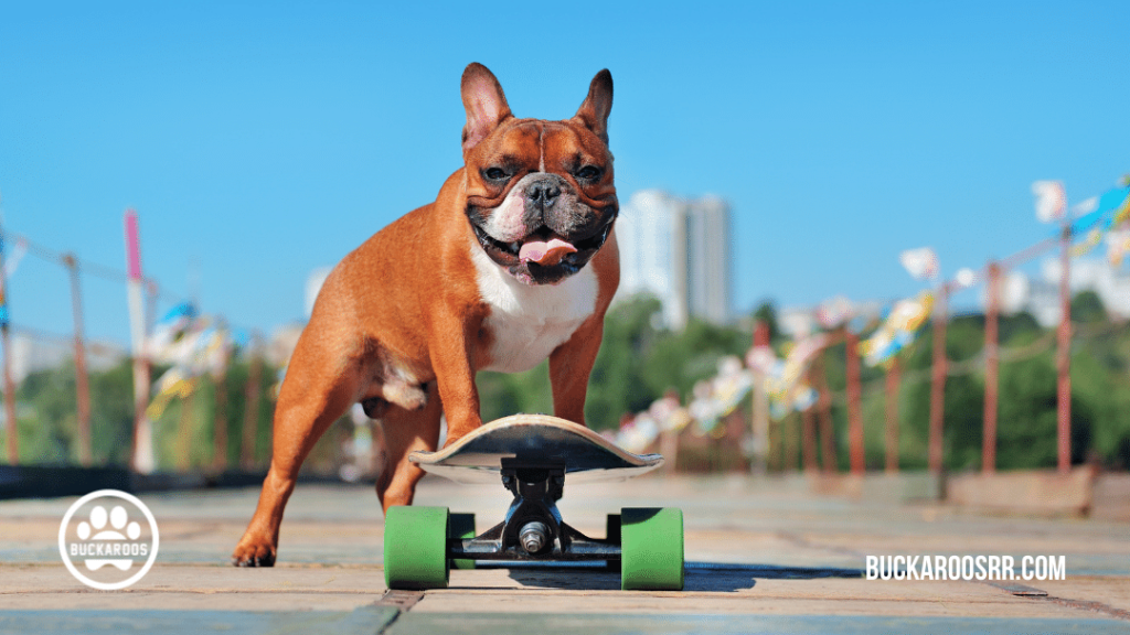 8 Essential Positive puppy raising skill