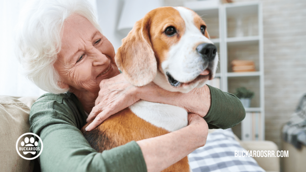5 Thanksgiving 360 dog care tips 5 buckaroos 360