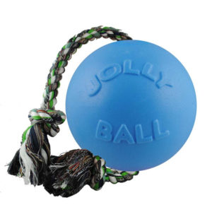 Fetch Dog Toys