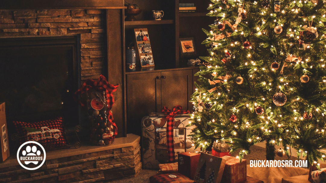 top 5 holiday pet safety tips 2 top 5 holiday pet safety tips