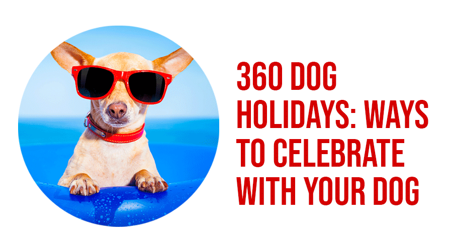 360-DOG-HOLIDAYS-WAYS-TO-CELEBRATE-WITH-YOUR-DOG