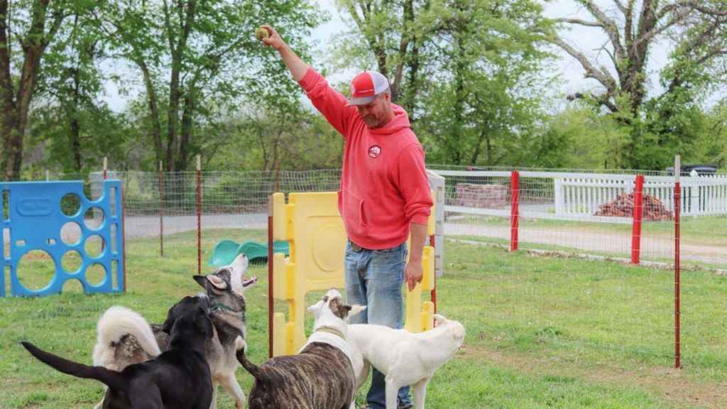 Dog Boarding in pauls valley oklahoma
