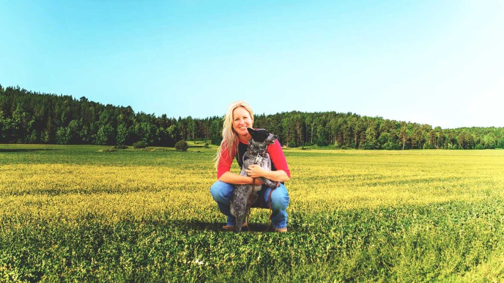dog-boarding-buckaroos