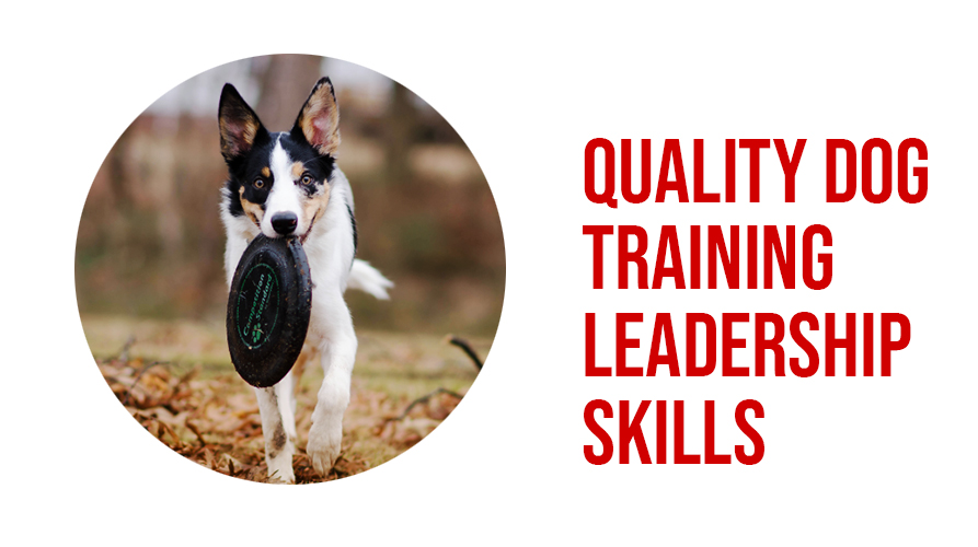 quality dog training leadership skills