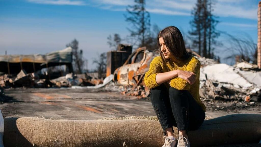 10 Ways To Prevent Losing Your Dog When Disaster Strikes 1 10 Ways To Prevent Losing Your Dog When Disaster Strikes https://buckaroosrr.com/2022/06/25/losing-your-dog-when-disaster-strikes/