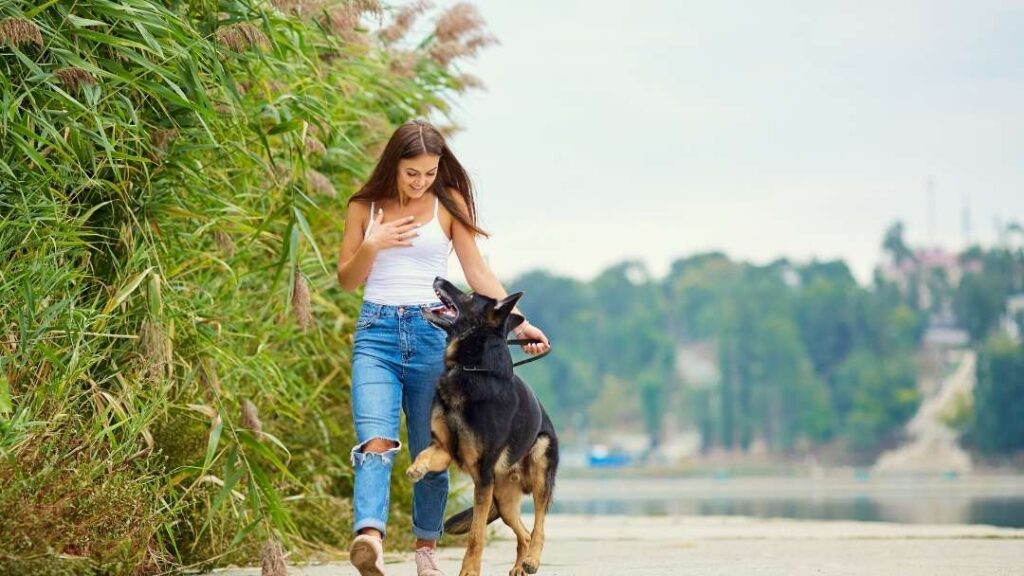 10 Ways To Prevent Losing Your Dog When Disaster Strikes 4 10 Ways To Prevent Losing Your Dog When Disaster Strikes https://buckaroosrr.com/2022/06/25/losing-your-dog-when-disaster-strikes/