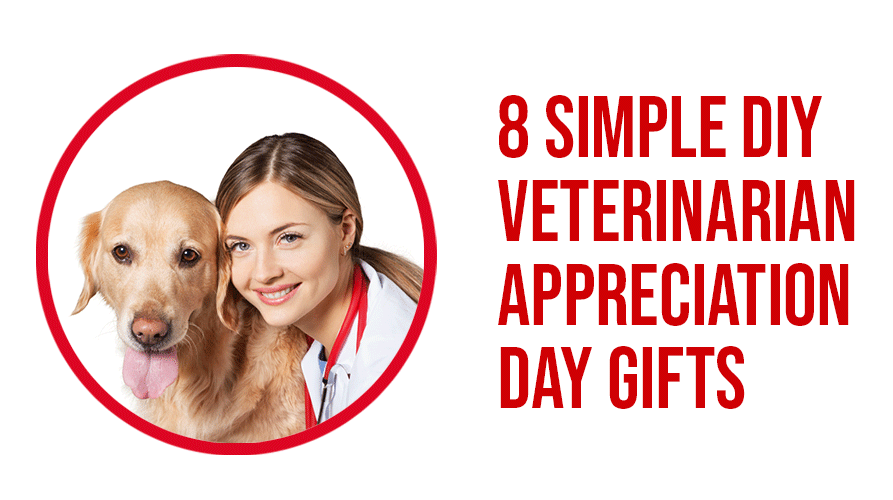 8 Simple DIY Veterinarian Appreciation Day Gifts
