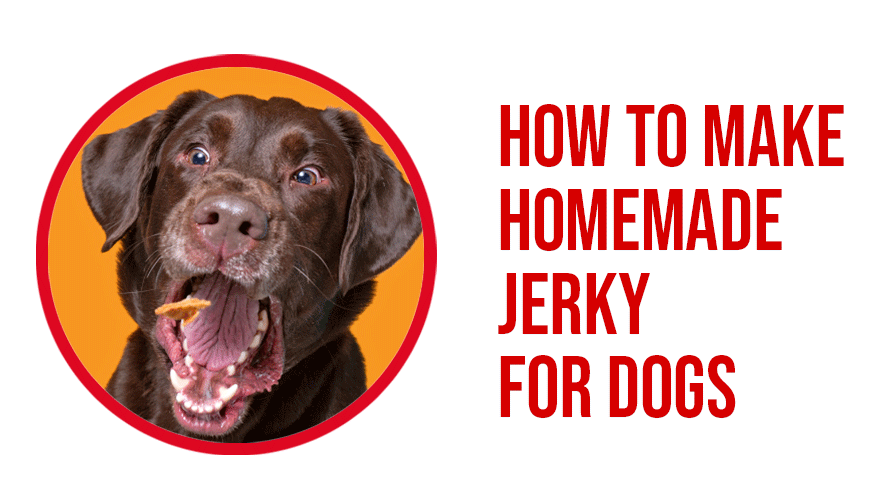 How To Make Homemade Jerky For Dogs