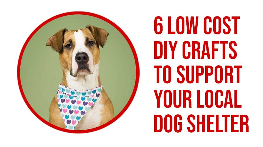 6 Low Cost DIY Crafts To Support Your Local Dog Shelter