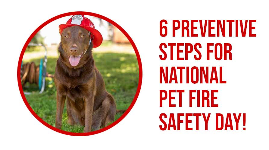Pet Fire Safety