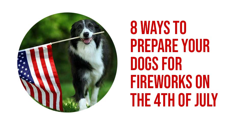 prepare your dog for fireworks