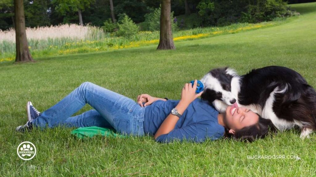 Why You Should Consider a Feeding Schedule For Your Dog 3 Feeding Schedule For Your Dog