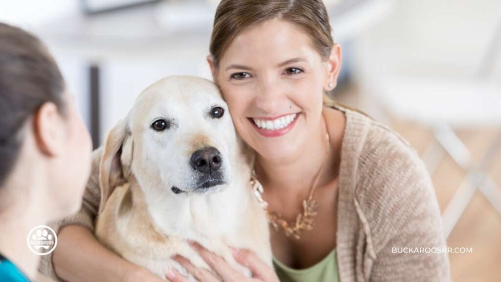 Why You Should Consider a Feeding Schedule For Your Dog 5 Feeding Schedule For Your Dog