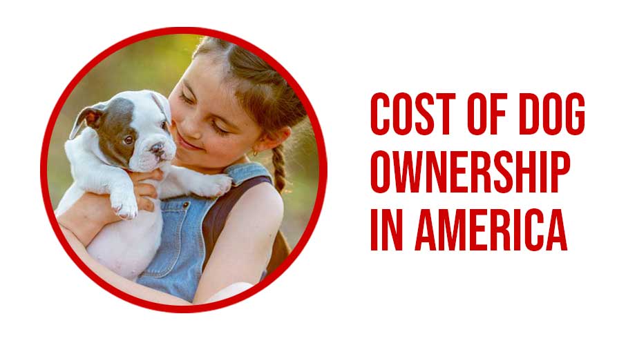 Cost Of Dog Ownership