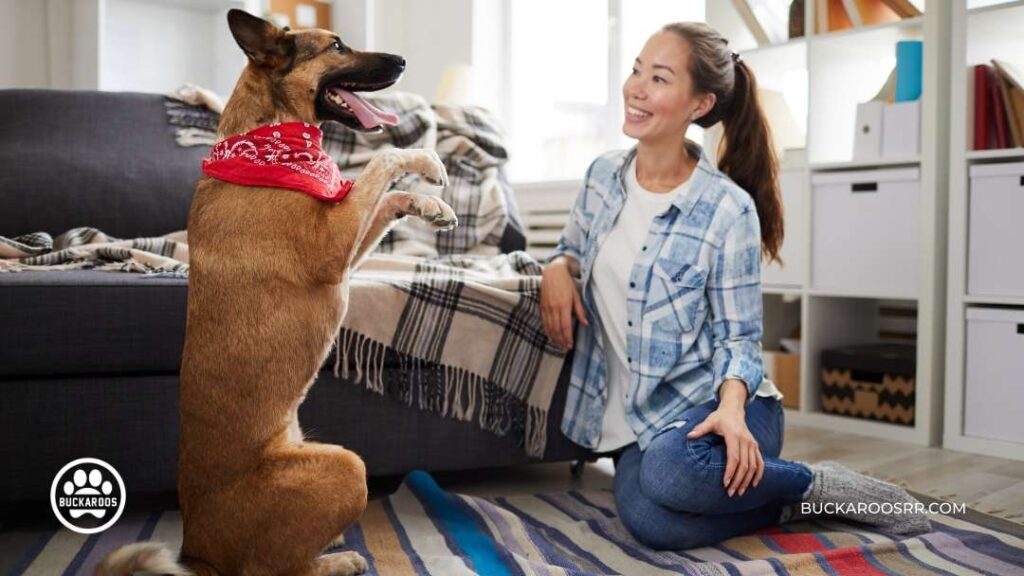 5 Simple Hacks For Holiday Dog Manners 2 holiday dog training