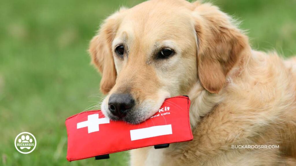 The Essential Dog Care Guide For Dog Lovers 8 The Essential Dog Care Guide For Dog Lovers https://buckaroosrr.com/2023/01/19/the-essential-dog-care-guide/