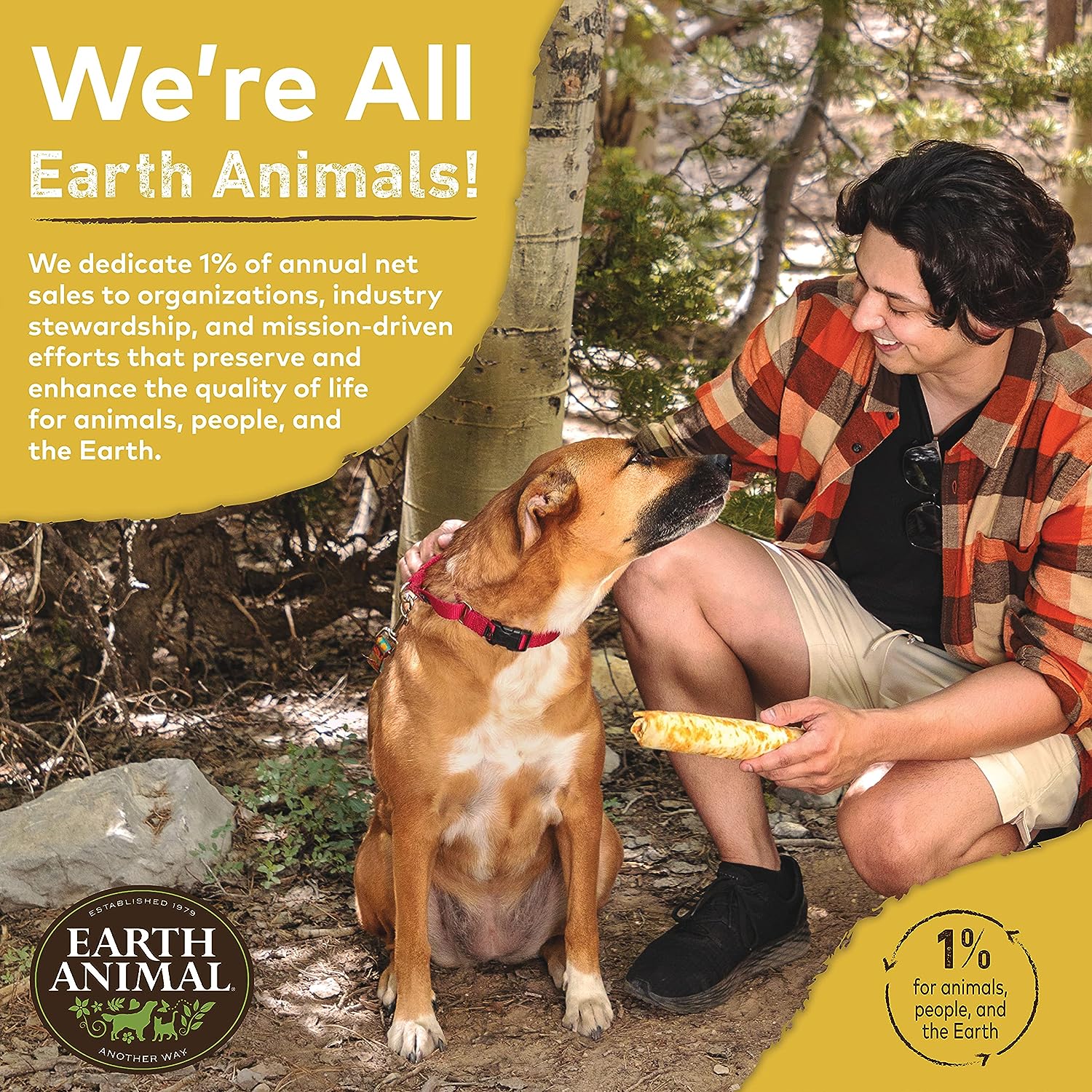 Earth Animal No-Hide Small Rolls Long Lasting Natural Rawhide Alternative Peanut Butter Vegetarian Recipe Chew Dog Treats