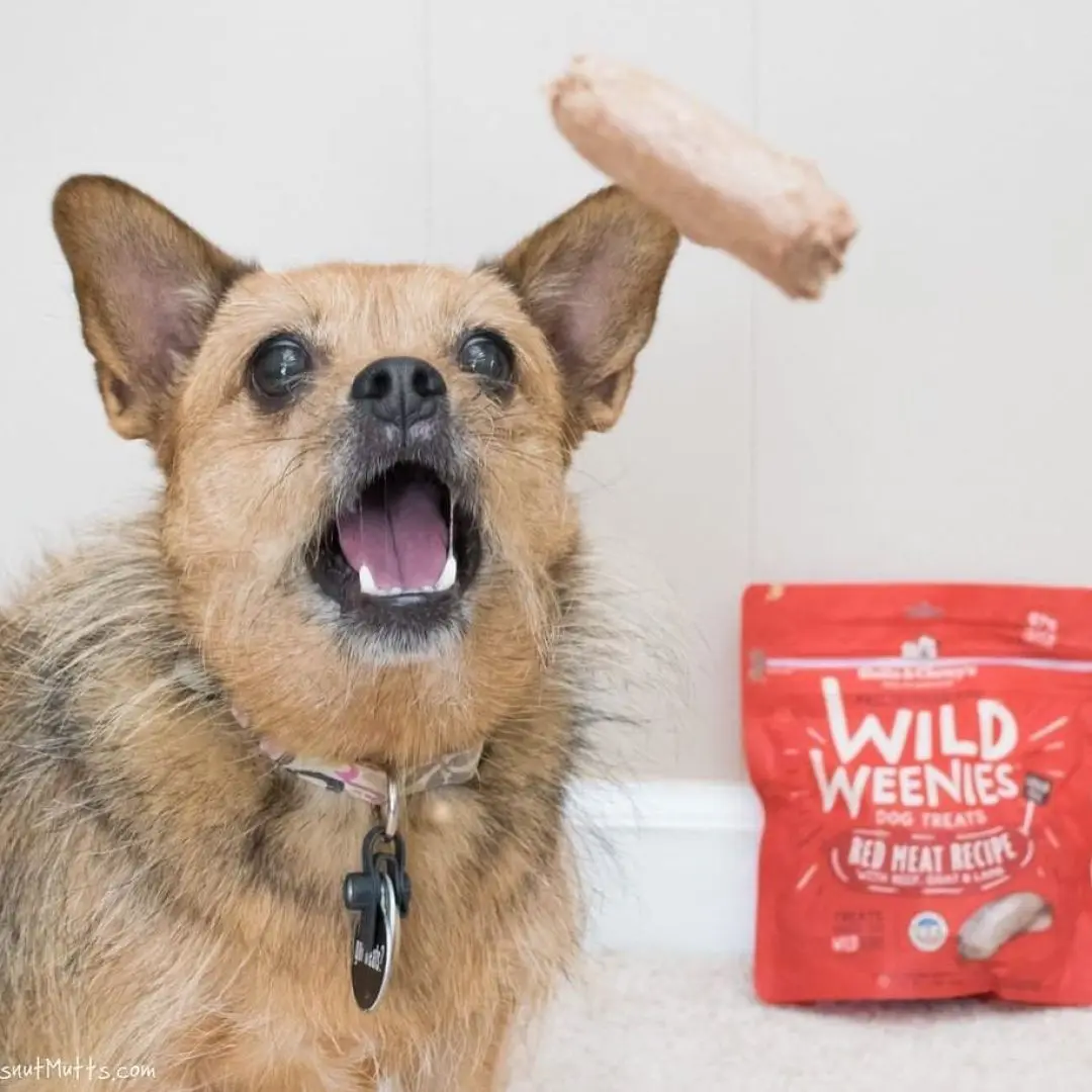 Stella & Chewy's Red Meat Wild Weenies Freeze Dried Raw Dog Treats