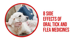 Side Effects Of Oral Tick and Flea Medicines