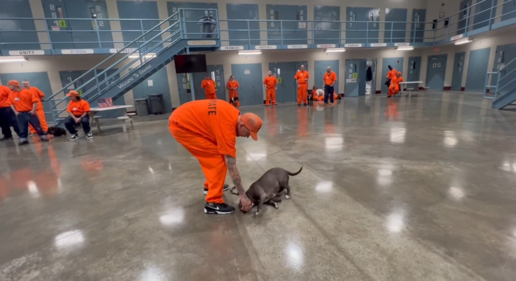 Inmate training a shelter dog through the PenPals program in Holdenville, Oklahoma