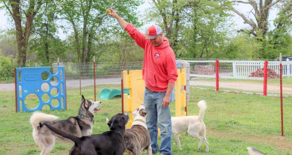 Trainer supervising dogs during outdoor play at Buckaroos dog daycare in Pauls Valley, OK