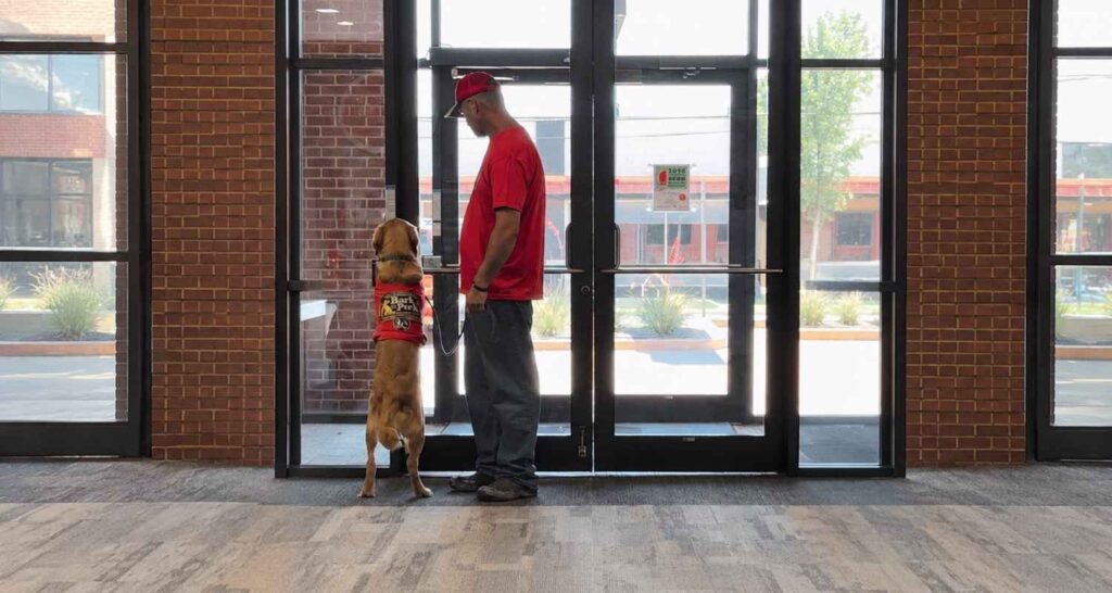 Handler and service dog practicing calm public access behavior at an indoor entrance
