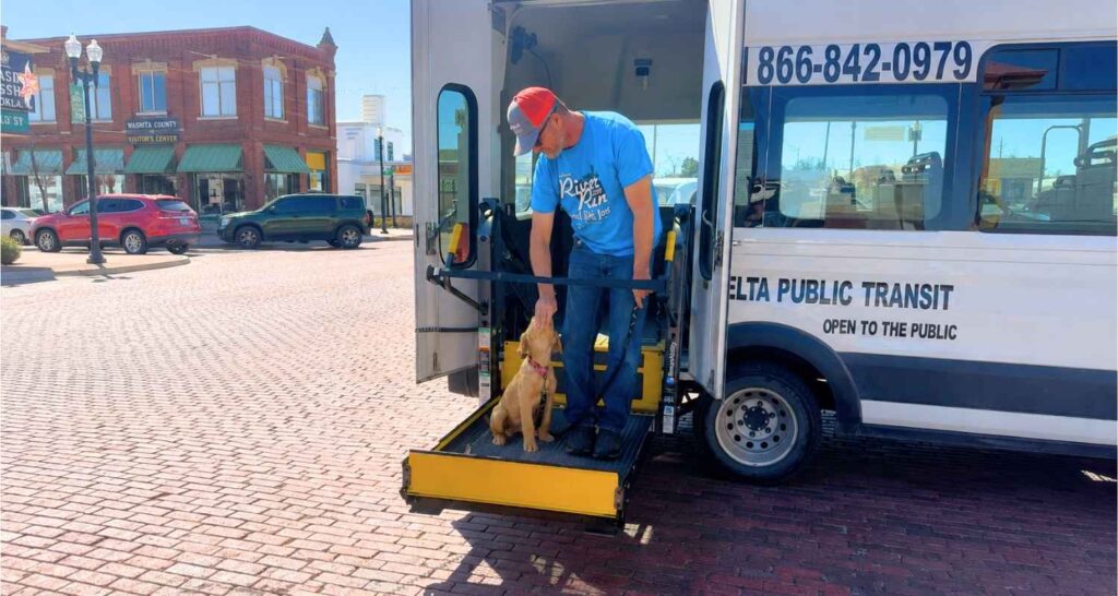 Service dog in training boarding a public transit bus with a trainer in Pauls Valley, Oklahoma