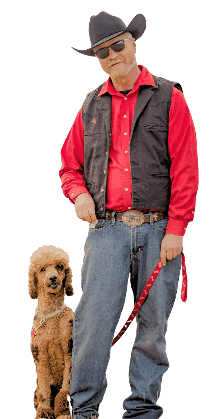 DOG BOARDING IN PAULS VALLEY