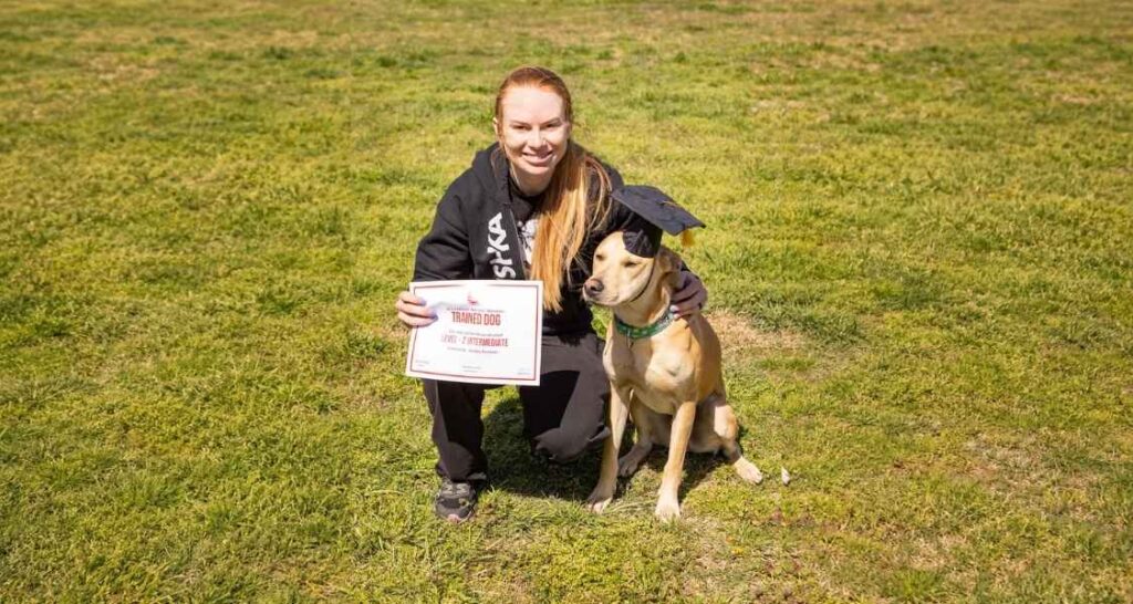Dog completing Level 2 dog training in Pauls Valley